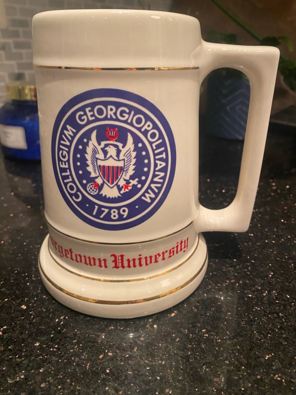Vintage Georgetown University Mug Stein